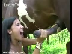 Brunette swallows a load of horse s semen